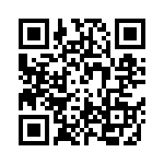 RBM28DSEI-S243 QRCode