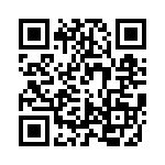 RC0402F38R3CS QRCode