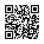 RCC13DREI-S93 QRCode