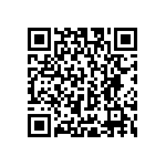 RCP1206B300RJS6 QRCode