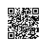 RCP1206B300RJTP QRCode