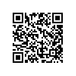 RG1005P-102-B-T1 QRCode