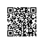 RG1005P-1331-B-T1 QRCode