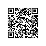 RG1005V-131-D-T10 QRCode