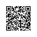 RG1005V-241-B-T1 QRCode