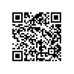 RG1005V-2871-B-T1 QRCode