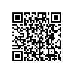 RG1005V-911-B-T1 QRCode