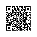 RG2012N-751-P-T1 QRCode