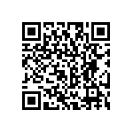 RG2012P-304-B-T1 QRCode