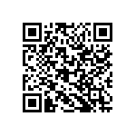 RG2012P-5763-B-T1 QRCode