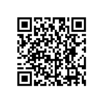 RG2012V-131-P-T1 QRCode