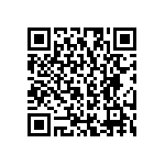 RG2012V-221-P-T1 QRCode