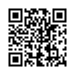 RJ13P104 QRCode