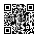 RJHSE5384A4 QRCode