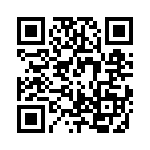 RJHSE538508 QRCode
