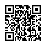 RJHSE538T08 QRCode