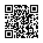 RJHSEJ38T08 QRCode