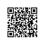 RJK1001DPP-E0-T2 QRCode