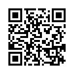 RJLSE4118101 QRCode