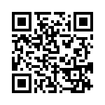 RJLSE4138101 QRCode