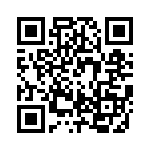 RJLSE4138101T QRCode