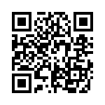 RJSSE538204 QRCode