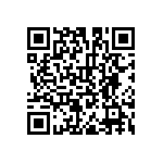 RLR32C1002GRR64 QRCode