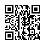 RN55C1333FBSL QRCode