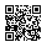 RN55C1382BRSL QRCode