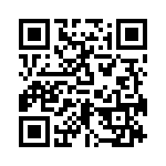 RN55C1743DBSL QRCode