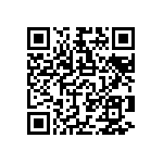 RNC55H1102BRRSL QRCode