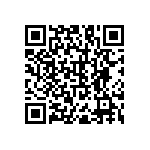 RNC55H1102BSRSL QRCode