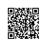 RNC55H1111BSBSL QRCode