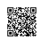 RNC55H1333BRRE6 QRCode