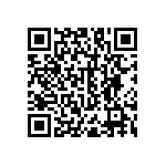 RNC55H1370BSRSL QRCode