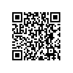 RNC55H1653FSRSL QRCode