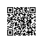 RNC55H1911BSRSL QRCode