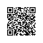 RNC55H2030BSBSL QRCode