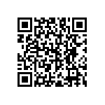 RNC55H2913DSB14 QRCode