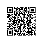 RNC55H2942BRR36 QRCode