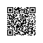 RNC55H2942BRRSL QRCode