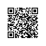 RNC55H3013BSRE6 QRCode