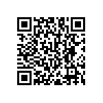 RNC55H3051DSRSL QRCode