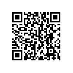 RNC55H3161FSR36 QRCode