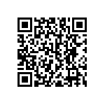 RNC55H3163BSRE6 QRCode