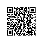 RNC55H3833BSRE6 QRCode