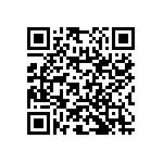 RNC55H4002BSRE6 QRCode