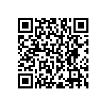 RNC55H4023FSBSL QRCode