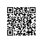 RNC55H4223FSBSL QRCode