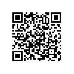 RNC55H4591BSRSL QRCode